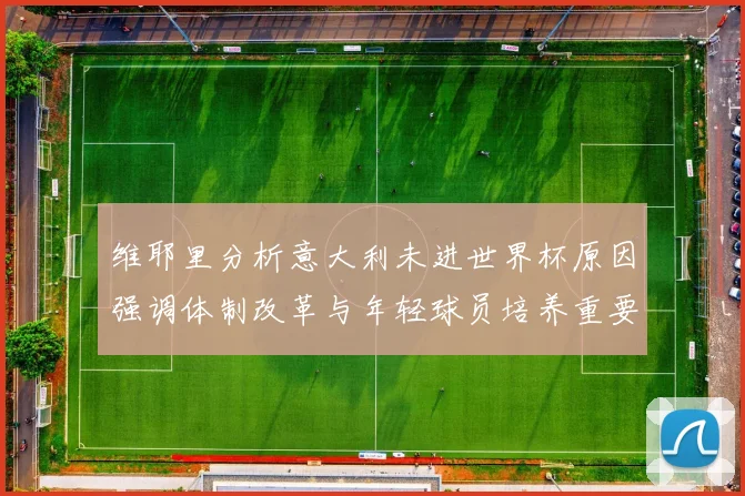 维耶里分析意大利未进世界杯原因强调体制改革与年轻球员培养重要性