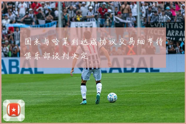 国米与哈莱利达成协议交易细节待俱乐部谈判决定
